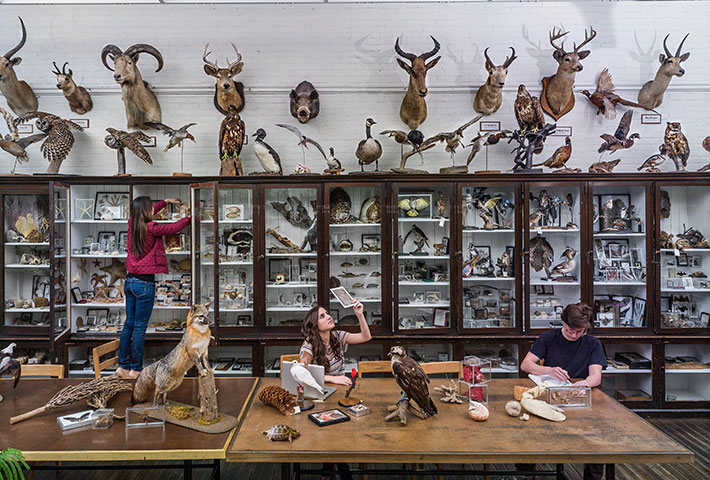 Students in a room of taxidermy. Links to Gifts of Cash, Checks, and Credit Cards Students in a room of taxidermy. Links to Gifts of Cash, Checks, and Credit Cards